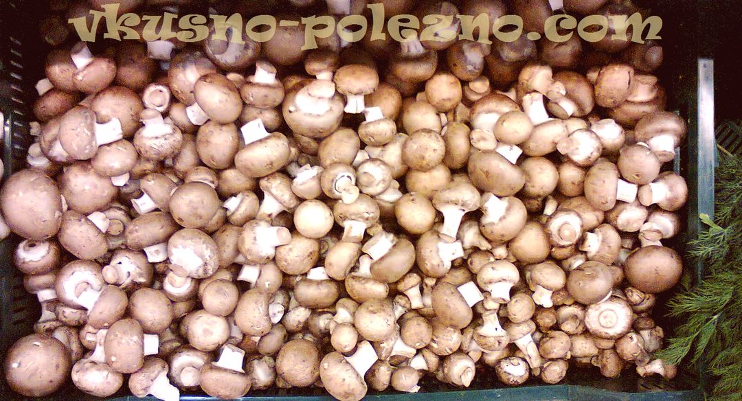 Кремини, грибы (cremini — итал.)- научное название Agaricus bosporus, - Это двуспоровый шампиньон. Так же эти грибы называют — столовые грибы, шампиньоны, культивированные грибы.