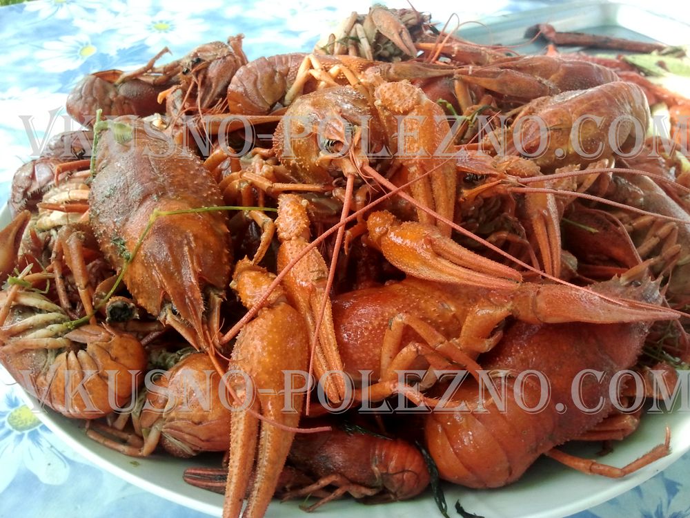 Раки Раки