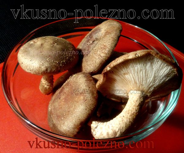 Грибы Шиитаке ( Lentinula edodes)